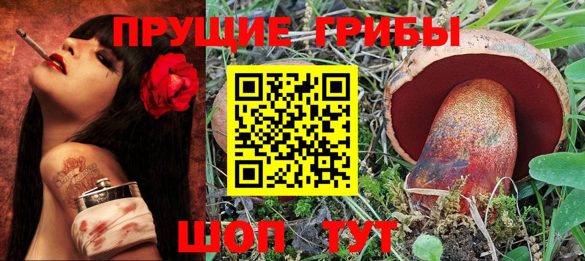 Северобайкальск  купить   Вход с VPN  Галлюциногенные грибы Cubensis 